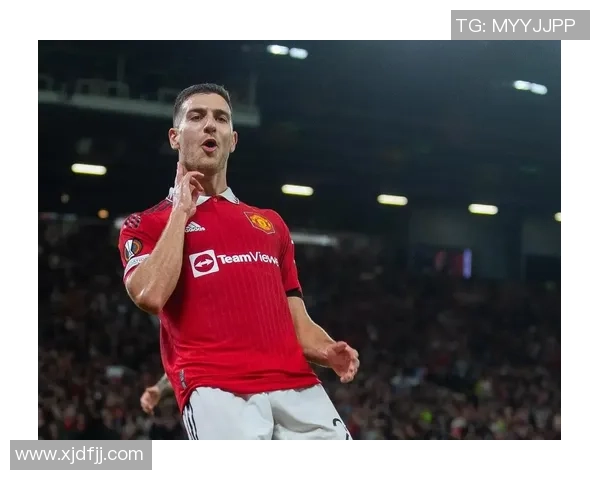 足球场上的旋律与激情 球星们的音乐世界与赛场风采相融