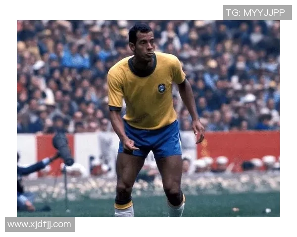 足球球星大老二是谁 他在足坛的传奇地位与影响力分析