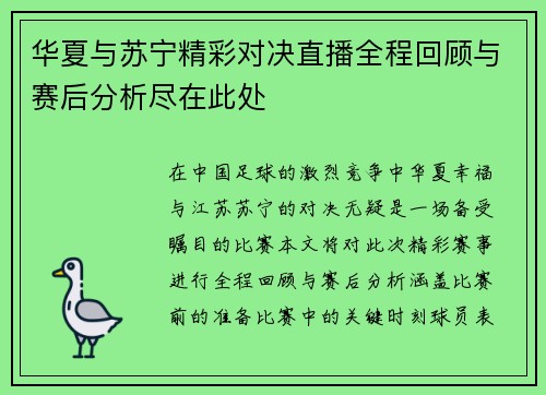 华夏与苏宁精彩对决直播全程回顾与赛后分析尽在此处