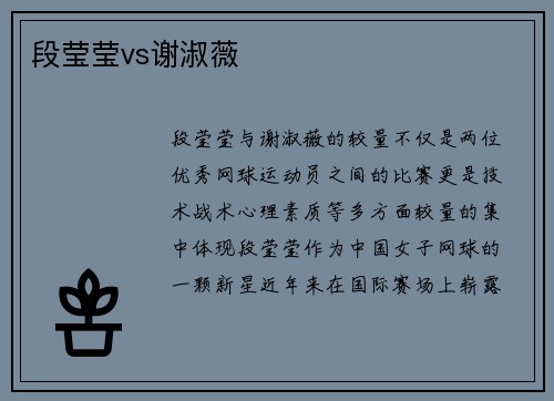 段莹莹vs谢淑薇