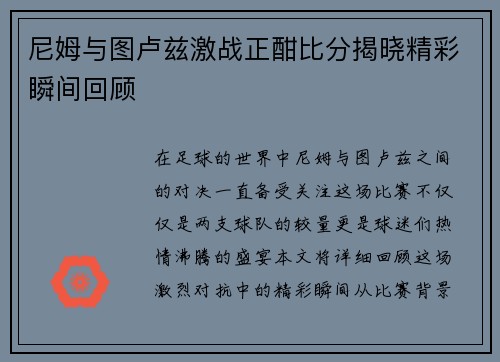 尼姆与图卢兹激战正酣比分揭晓精彩瞬间回顾