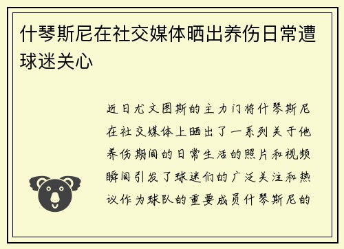 什琴斯尼在社交媒体晒出养伤日常遭球迷关心