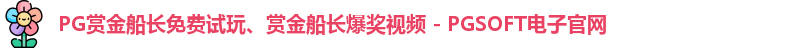 赏金船长